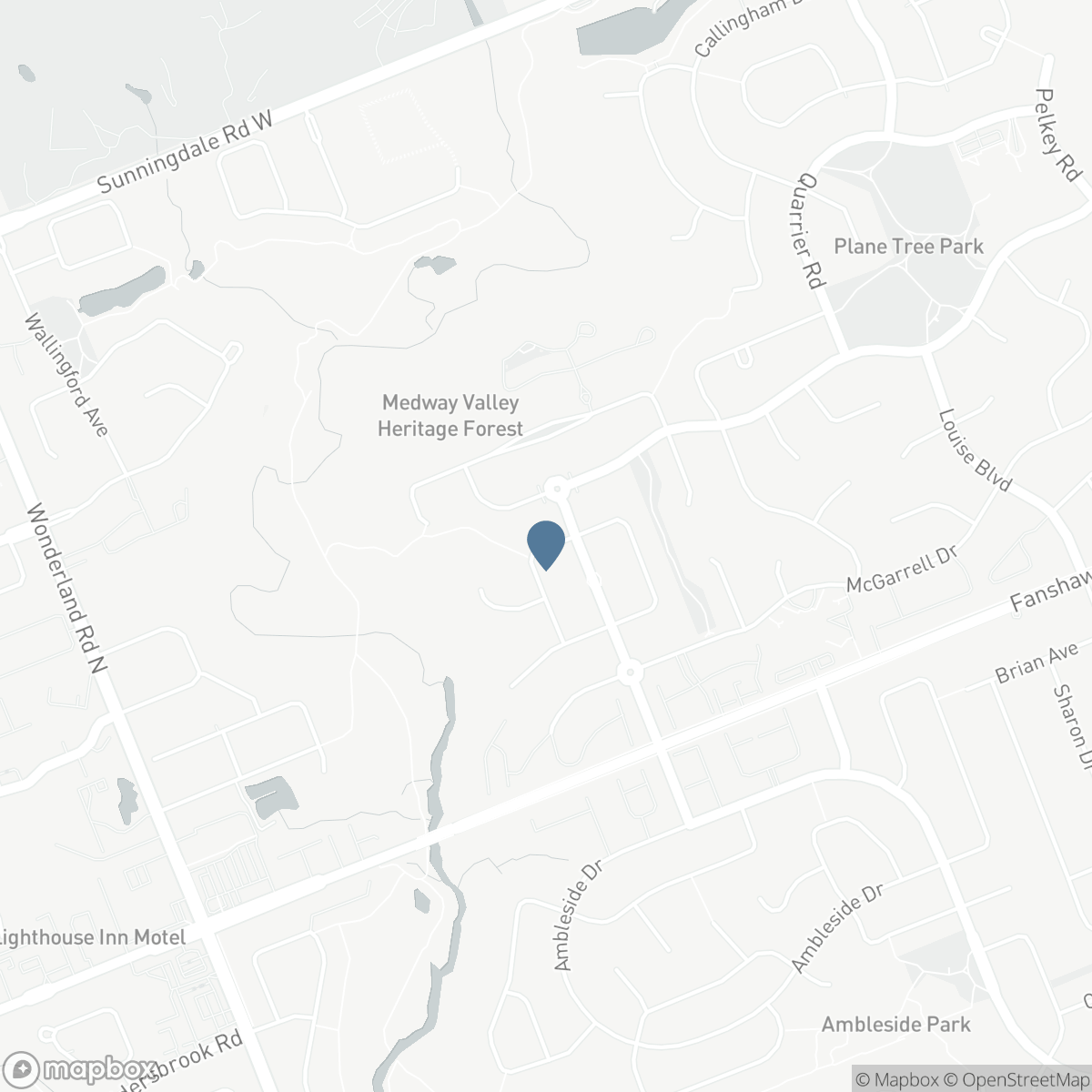 169 WEST RIVERTRACE WALK, London, Ontario N6G 5J9